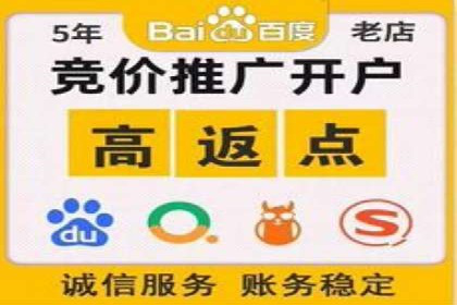 竞价广告策略案例分析